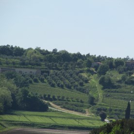 our farm seen from the hill in front of us